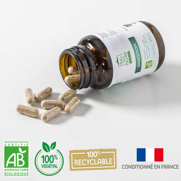 copy of Complément...