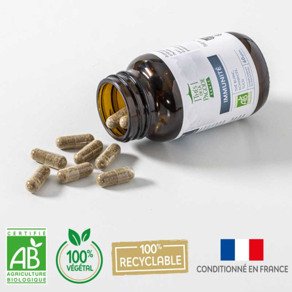 copy of Complément...