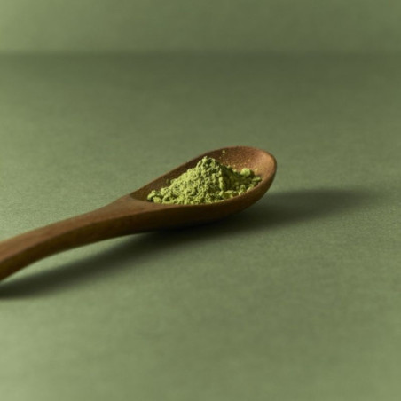 Thé Matcha cérémonie Bio du Japon