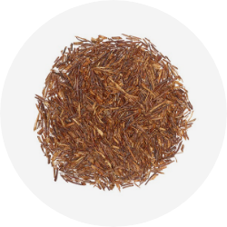 Rooibos