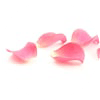 Rosenblütenblätter
