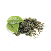Grüner Sencha-Tee 