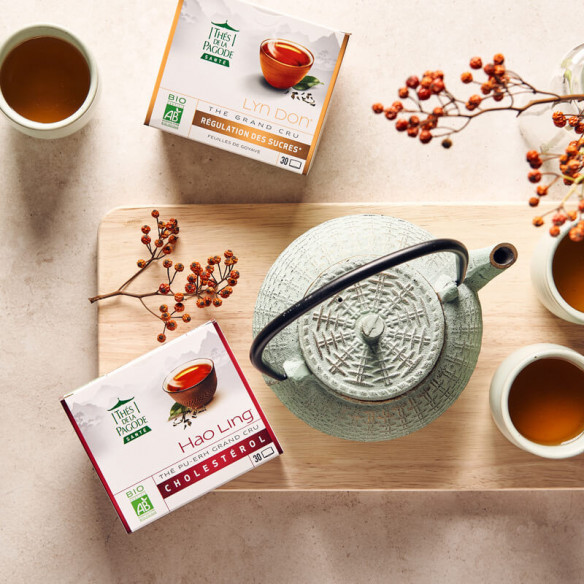 Hao Ling Tea, Organic pu-erh tea, Anti-cholesterol tea - 90 bags