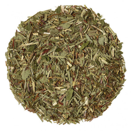 copy of Qinerji before sport