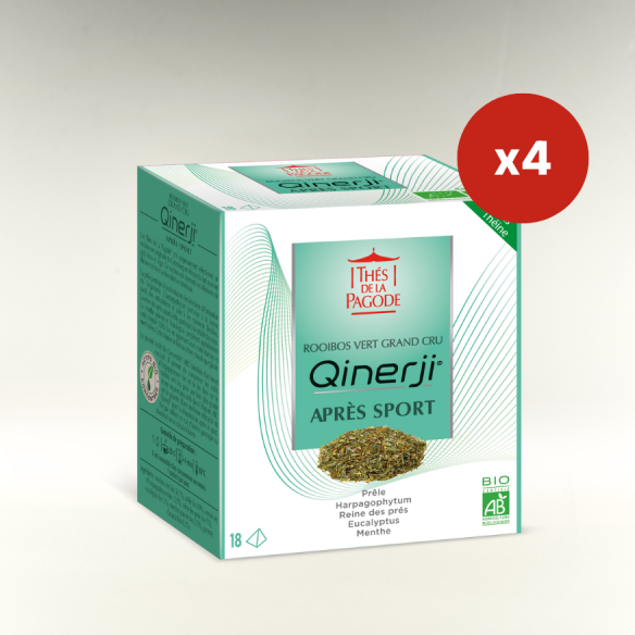 copy of Qinerji before sport