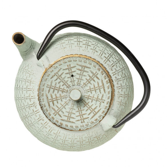 Aqua Cast Iron Teapot