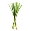 Lemongrass