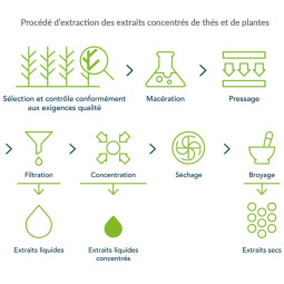 Complément alimentaire contre le cholesterol