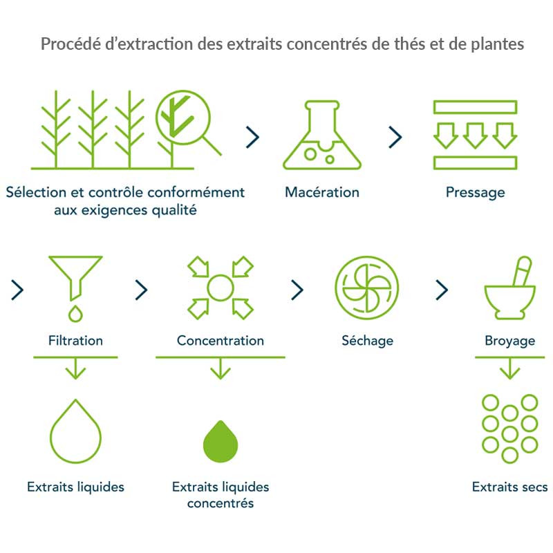 Complément Alimentaire Hiver Tranquille Bio - 200 Gélules Vegan - Soutien Immunitaire