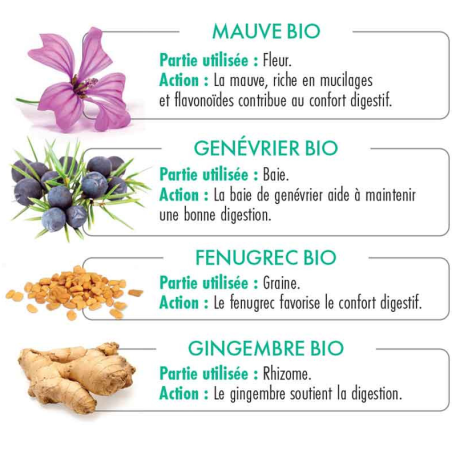 Digestao - 36 infusettes