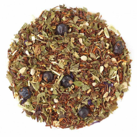 Digestao - 72 infusettes