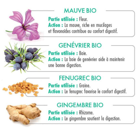 Digestao - 72 infusettes