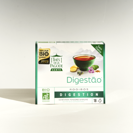 Digestao