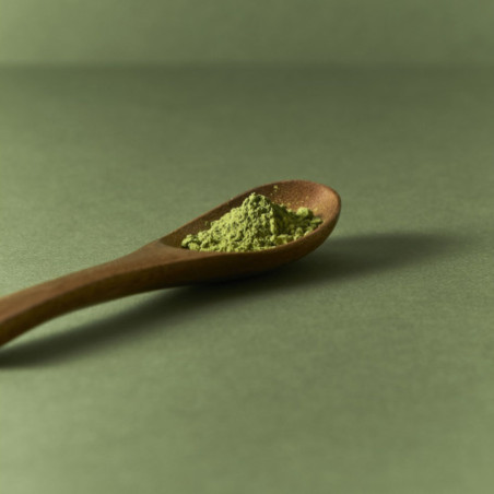 Thé Matcha Bio du Japon