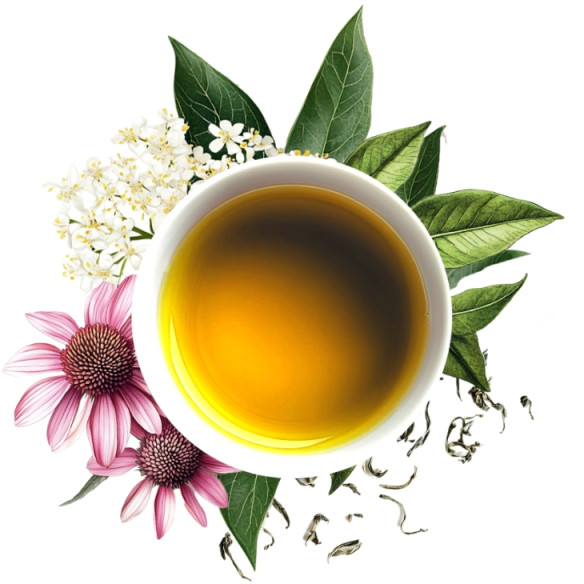 Lot immunité : infusion +...