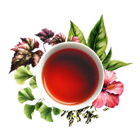 Gingo - 36 infusettes