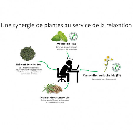 Relaxaé : thé vert bio anti-stress (action des ingrédients)
