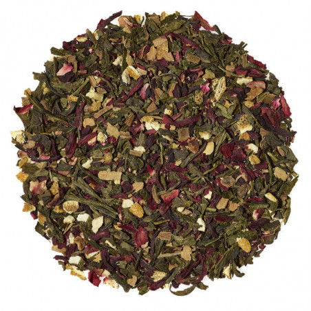 QINERJI AVANT SPORT - Blend