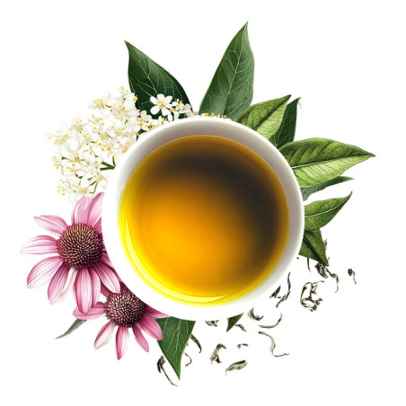 Lot défenses naturelles : Qi Cha et infusion défenses naturelles