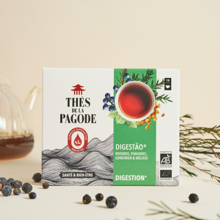 Digestao 36 infusettes