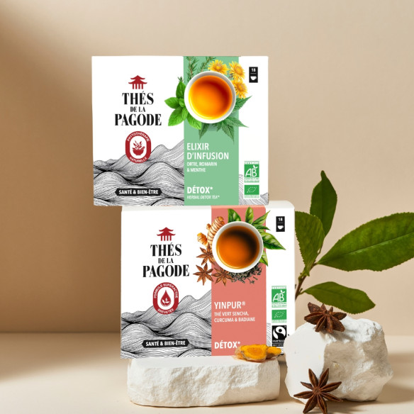 Lot cure thé détox bio :...