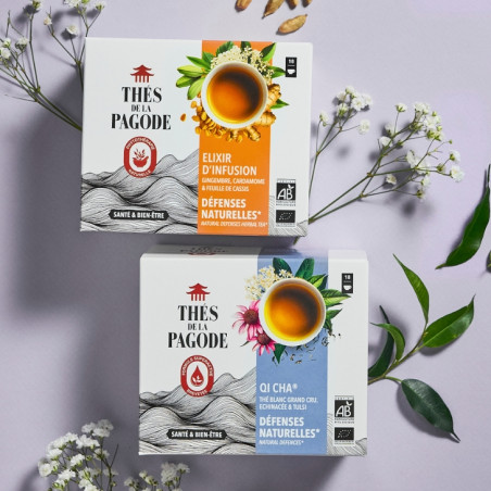 Lot défenses naturelles : Qi Cha et infusion défenses naturelles