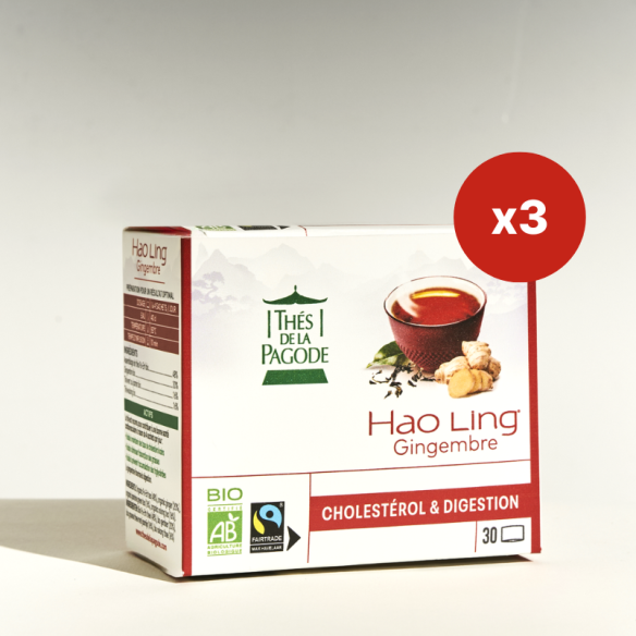 Hao Ling gingembre - 90 sachets