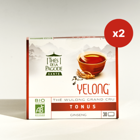 Lot de 2 Yelong - 60 sachets