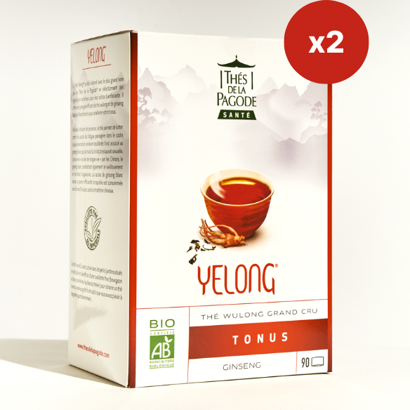Lot de 2 Yelong - 180 sachets