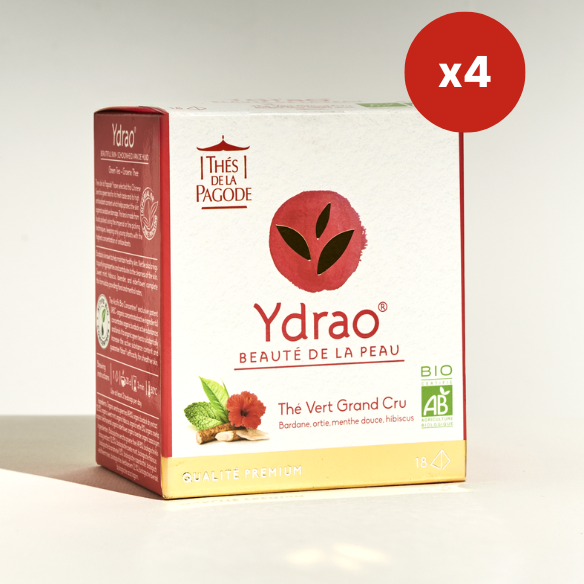 Ydrao - 72 infusettes