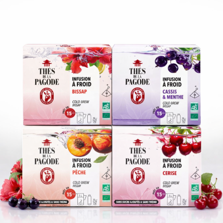 Lot de 4 infusions glacées