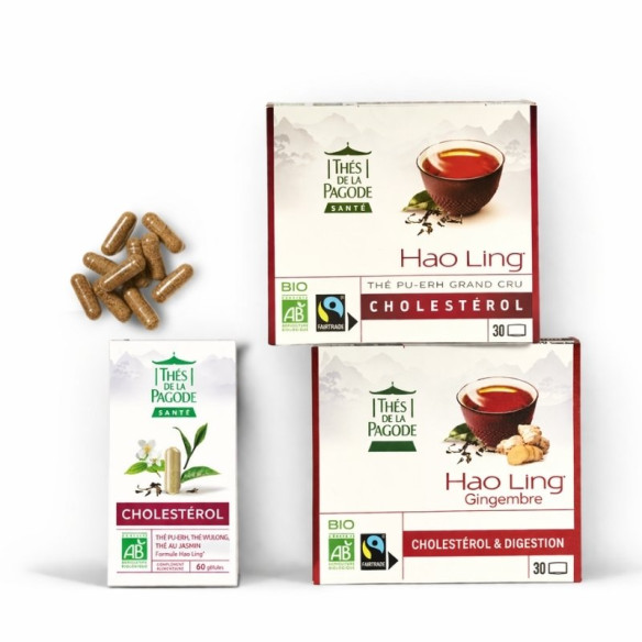 Lot Cholestérol Thes bio et Complément alimentaire