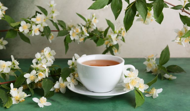Thé vert au jasmin : un mariage ancestral