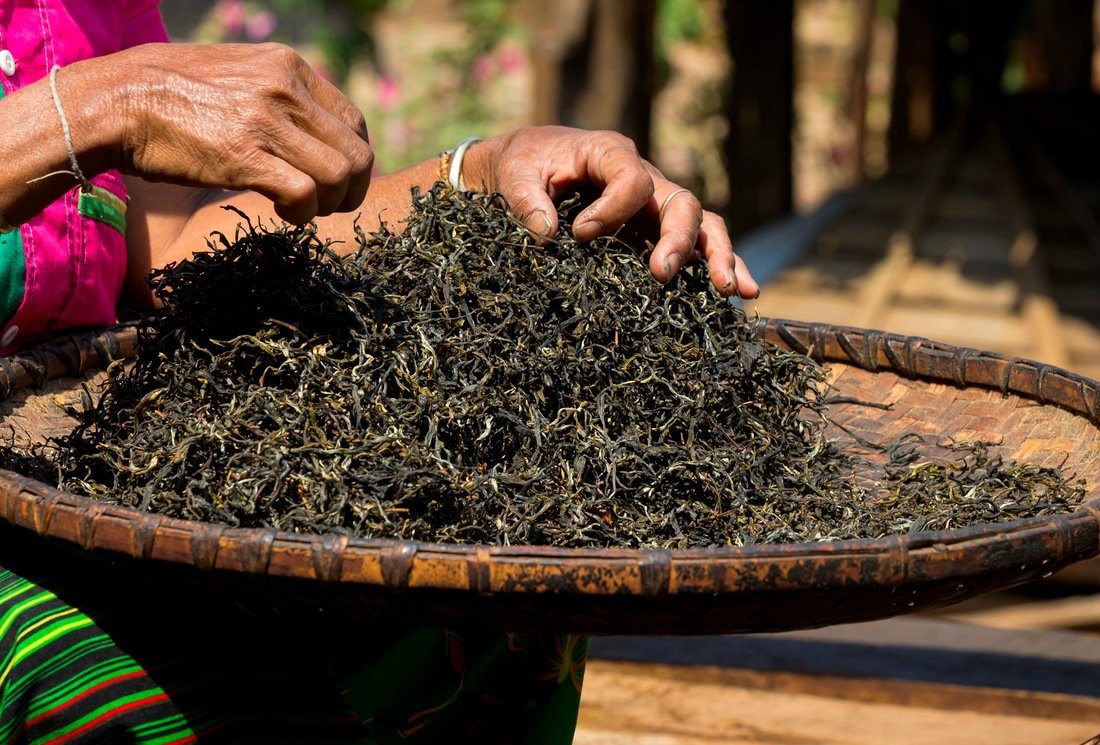 Thé et cholestérol : Hao Ling, la boisson idéale du cœur !