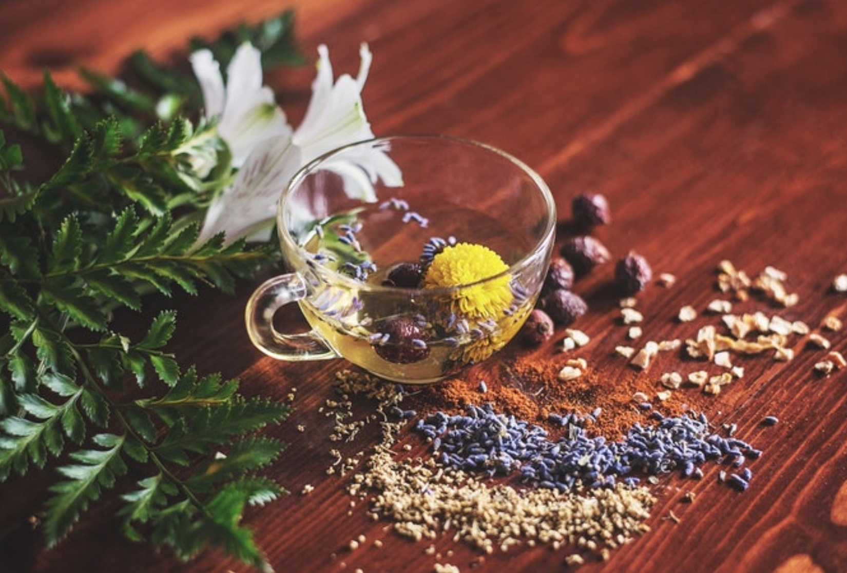 Thé ou tisane minceur ? Que choisir en fonction de ses objectifs ?