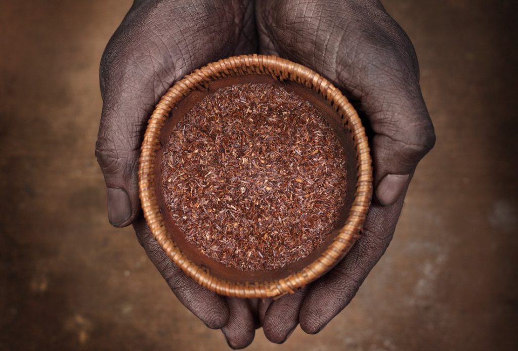 Le rooibos : quels sont ses bienfaits ?