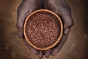bienfaits-rooibos-vertus
