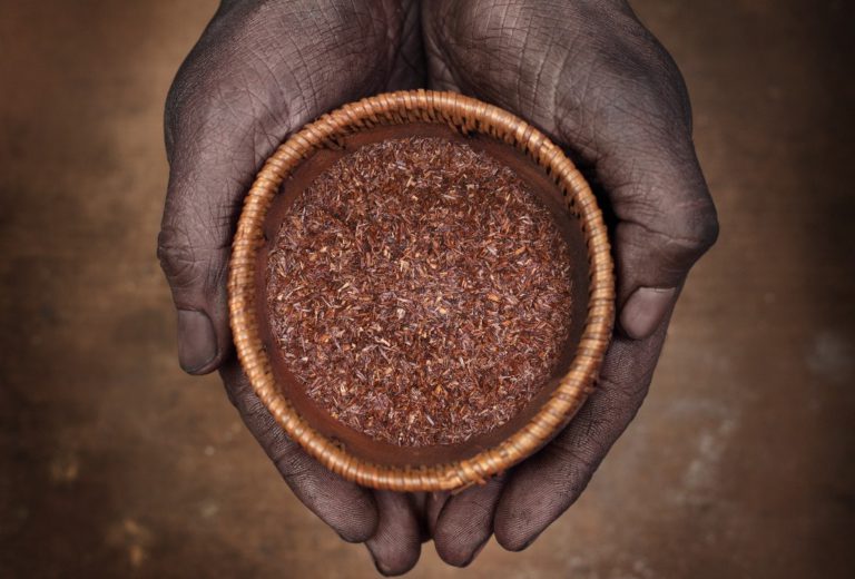 Le rooibos : quels sont ses bienfaits ?