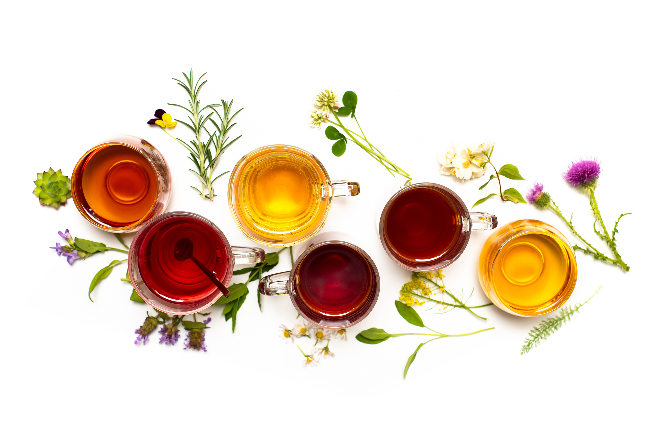Minceur : thés, tisanes, plantes - Guide du Thé par les Thés de la Pagode