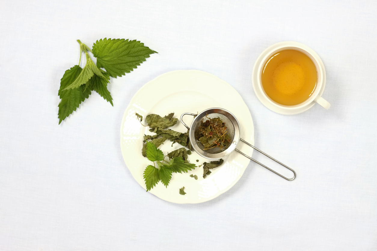 Quels sont les nombreux bienfaits de la tisane aux orties