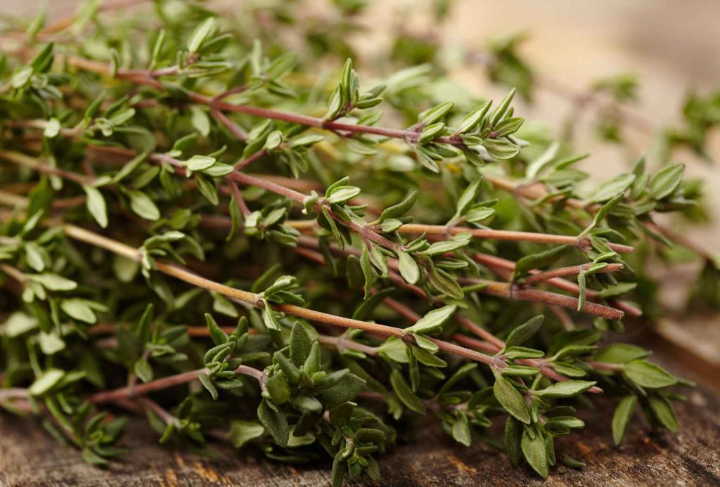 Les bienfaits de la tisane de thym