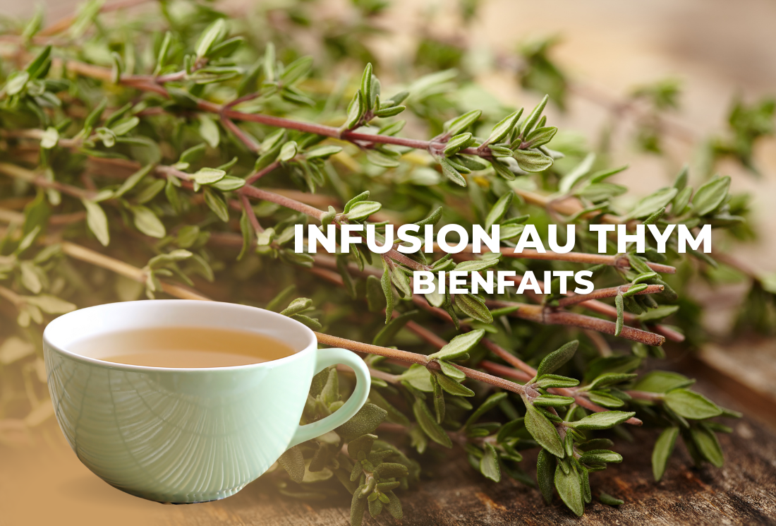 Bienfaits des infusions - Les vertus des infusions - Thés de la Pagode