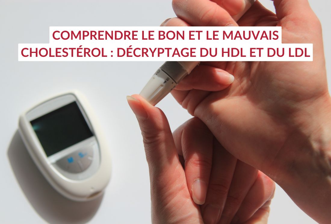 Comprendre le bon et le mauvais cholestérol : décryptage du HDL et du LDL