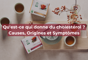 Qu'est-ce qui donne du cholestérol ? Causes, Origines et Symptômes